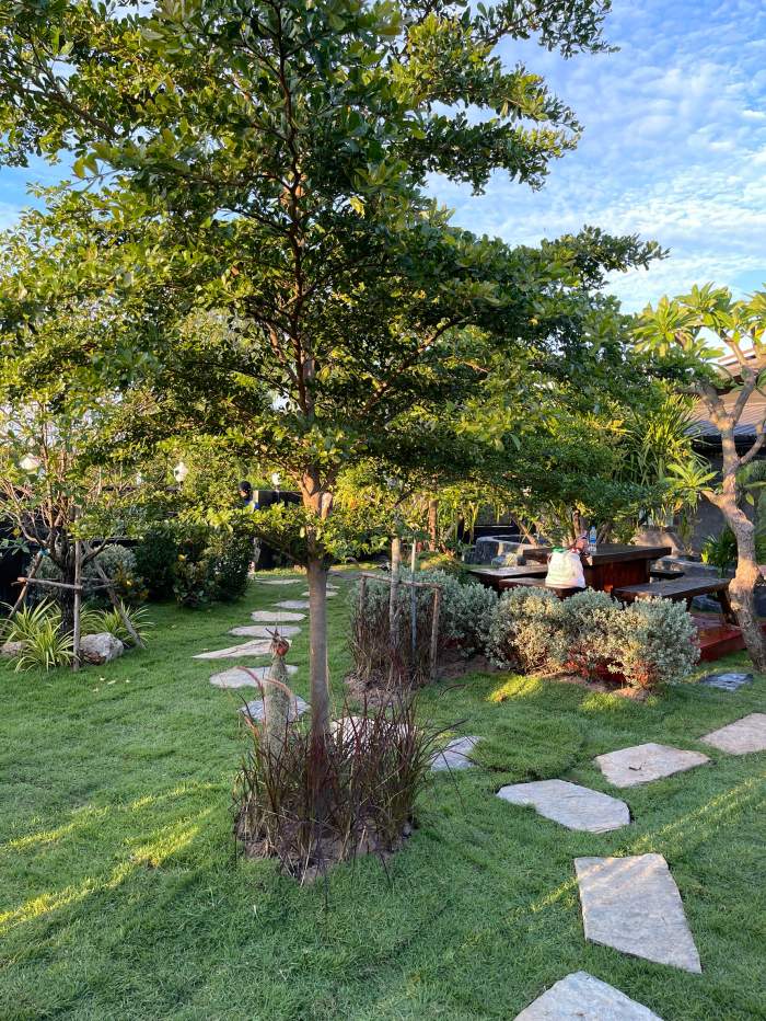 12 - https://รับทําน้ําตกจําลองและงานจัดสวนราคาถูก.com | รับออกแบบจัดสวนน้ำตก ทั่วไทย | สร้างบ่อปลา ขายหินจัดสวน ปูหญ้า รับสร้างบ่อปลา ทำน้ำตก จำหน่ายหินและงานปูนปั้นอื่นๆ