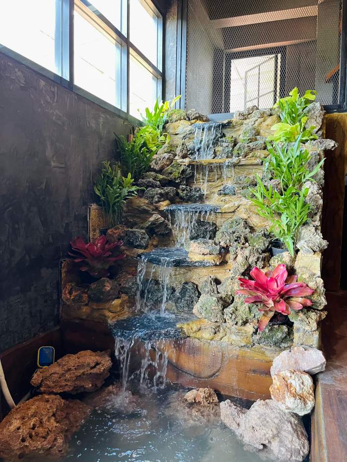 14 - https://รับทําน้ําตกจําลองและงานจัดสวนราคาถูก.com | รับออกแบบจัดสวนน้ำตก ทั่วไทย | สร้างบ่อปลา ขายหินจัดสวน ปูหญ้า รับสร้างบ่อปลา ทำน้ำตก จำหน่ายหินและงานปูนปั้นอื่นๆ